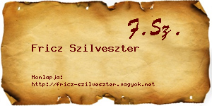 Fricz Szilveszter névjegykártya